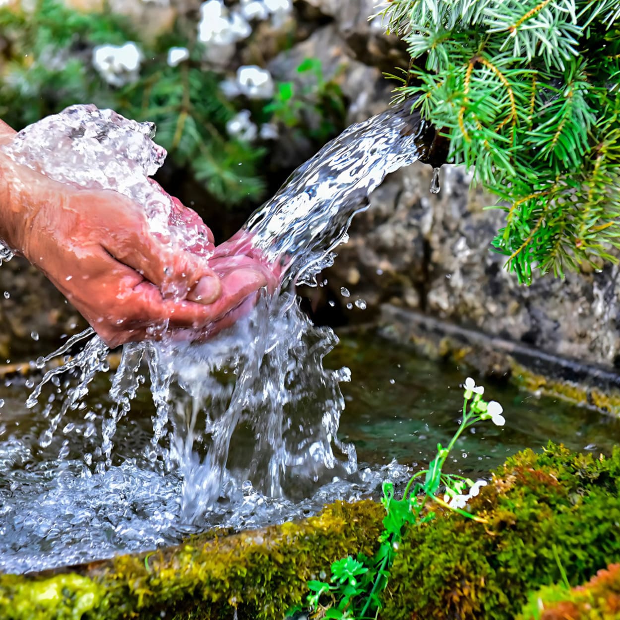 Vitaliseer je leven met een waterfilter: Water vol energie!